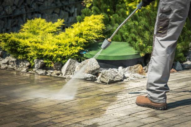 Best Spring Cleaning  in San Augustine, TX