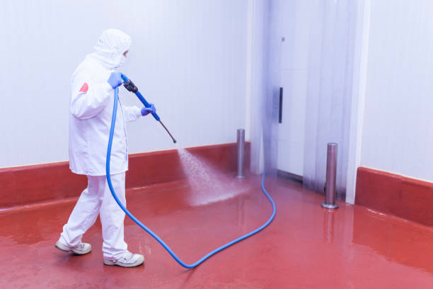 Best Driveway Pressure Washing  in San Augustine, TX