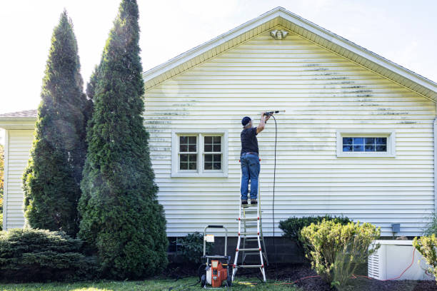Best Sidewalk and Walkway Cleaning  in San Augustine, TX